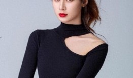 赵昭仪最新爆料视频,最新爆料视频深度解析