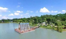 关于度假村的爆料新闻,揭秘奢华背后的惊人内幕